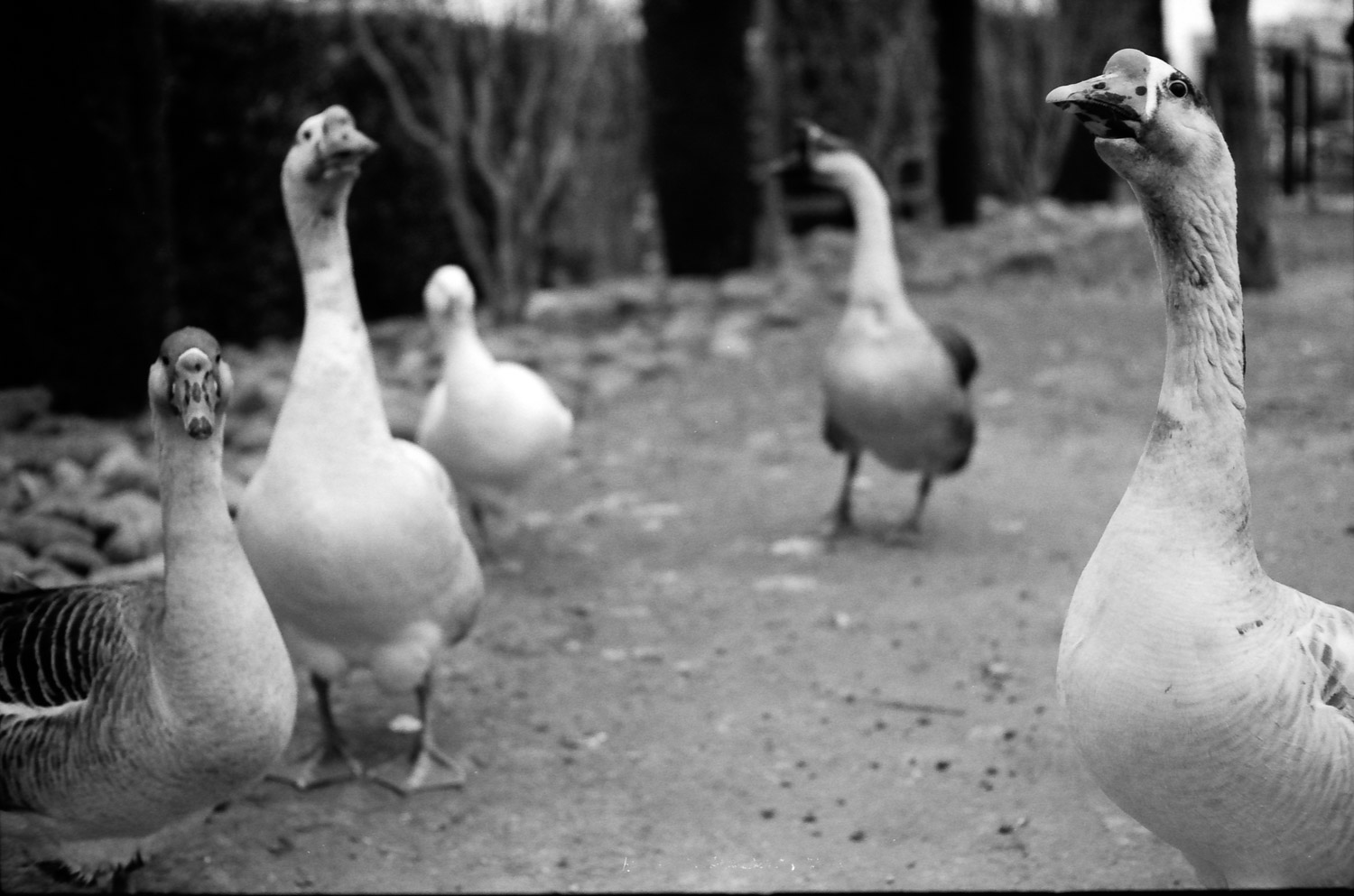 Portraits & Street 2